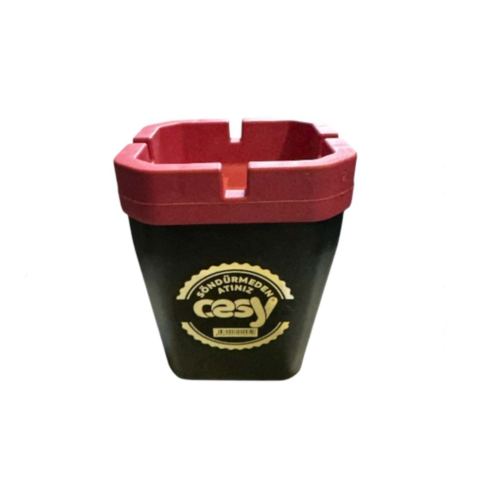 CESY KOKUSUZ KÜLLÜK KARE