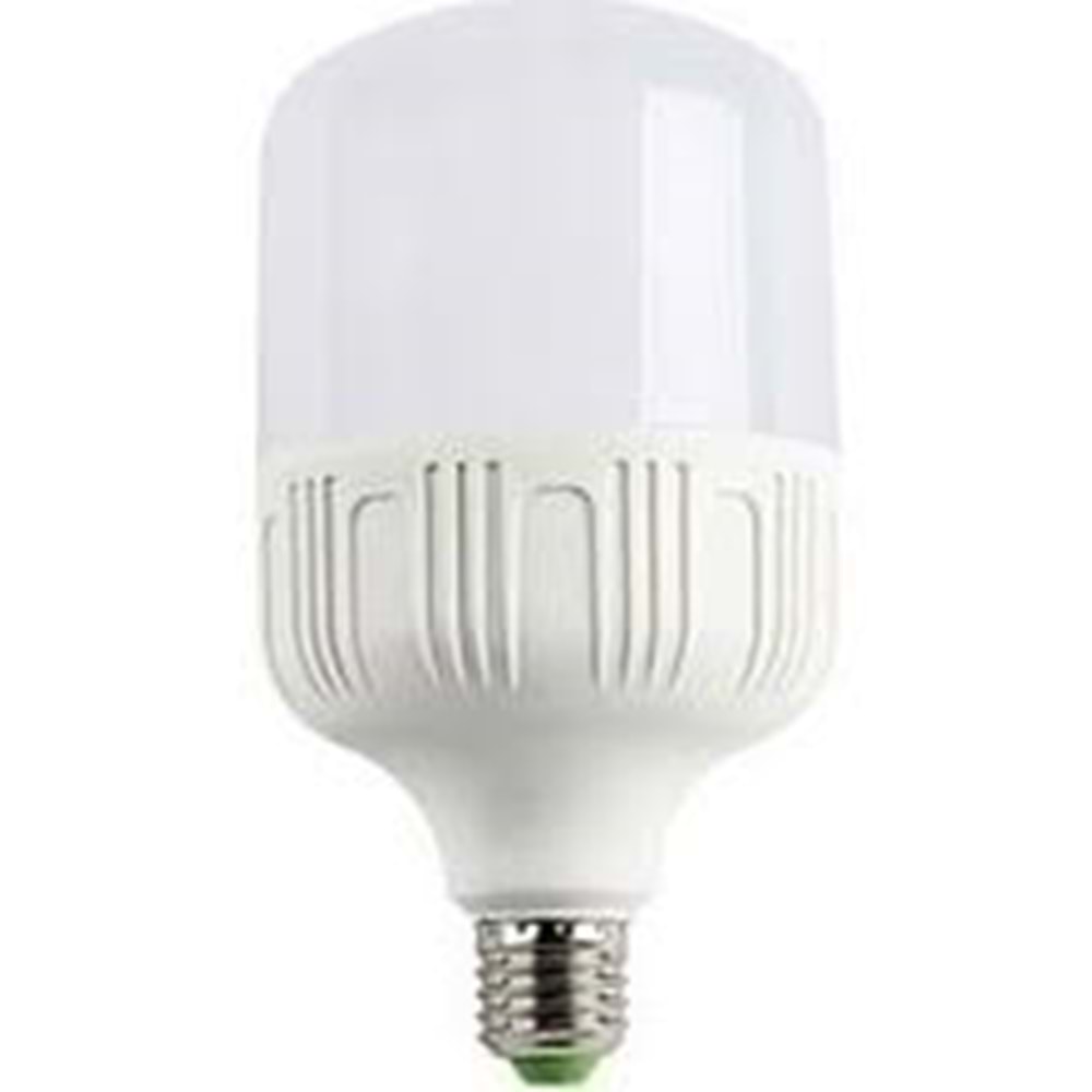 WINLIGHT 20 WAT TORCH AMPÜL(100)