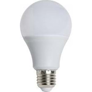 WINLIGHT 50 WAT TORCH AMPÜL (50)