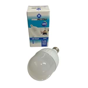WINLIGHT 20W YUMURTA AMPÜL (100)