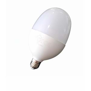 WINLIGHT 30W YUMURTA AMPÜL (50)