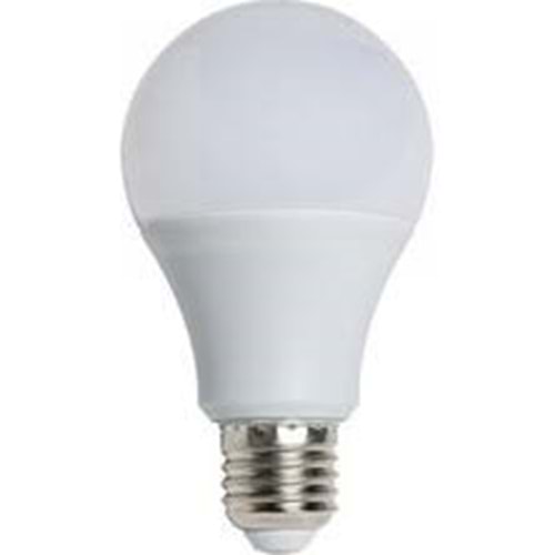 WINLIGHT 50 WAT TORCH AMPÜL (50)