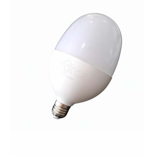 WINLIGHT 30W YUMURTA AMPÜL (50)