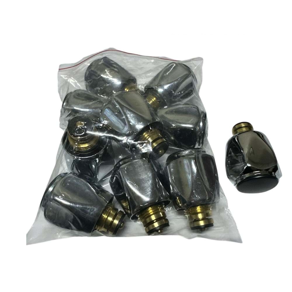 BEYAZSU GONCA MUSLUK BAŞLIĞI POŞETLİ (10)